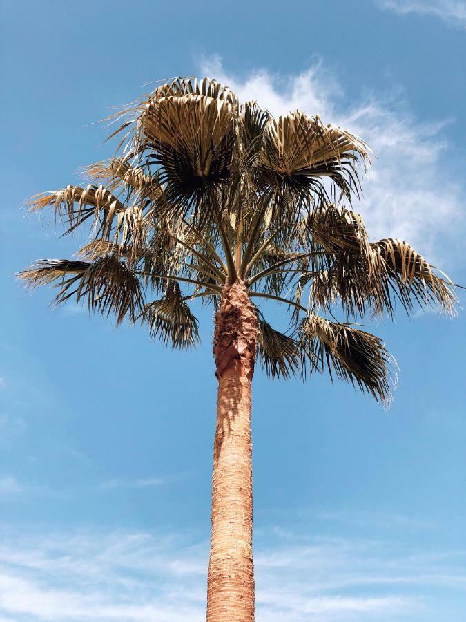 Villa Fernweh - Delta De L'Ebre Riumar Exteriér fotografie